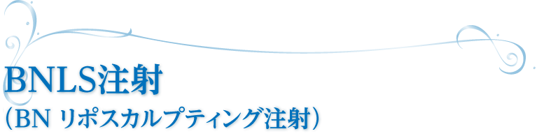 BNLS注射(BN リポスカルプティング注射)