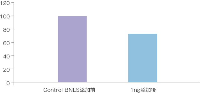 BNLSによる脂肪細胞の割合の変化比較表