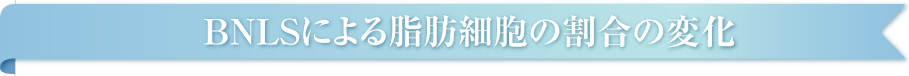 BNLSによる脂肪細胞の割合の変化