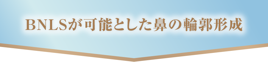 BNLSが可能とした鼻の輪郭形成