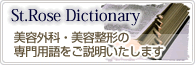 美容辞典