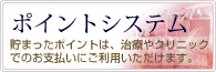 ポイントシステム