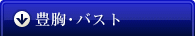 豊胸・バスト