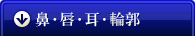 鼻・唇・耳・輪郭