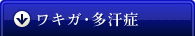 ワキガ・多汗症