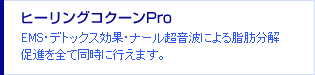 �q�[�����O�R�N�[��Pro EMS�E�f�g�b�N�X���ʁE�i�[�������g�ɂ�鎉�b���𑣐i��S�ē����ɍs���܂��B