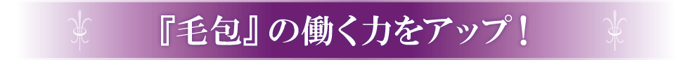 『毛包』の働く力をアップ!