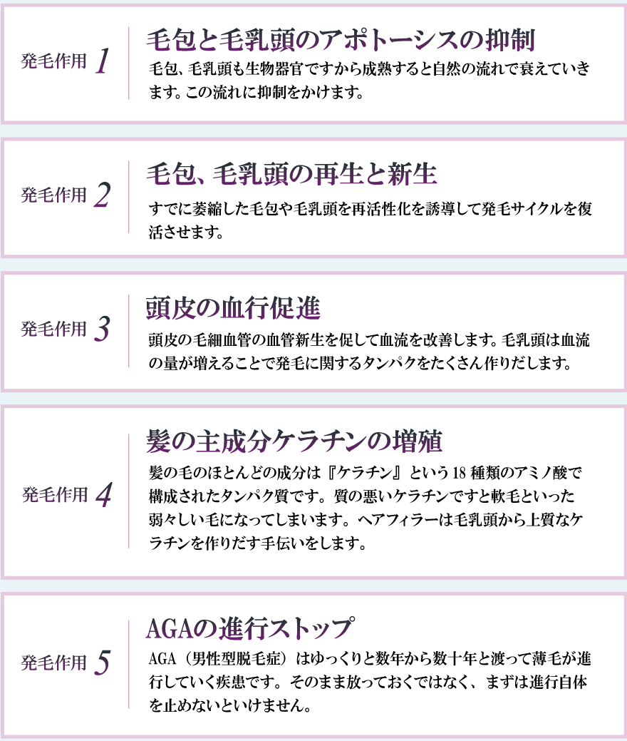 5つの作用
