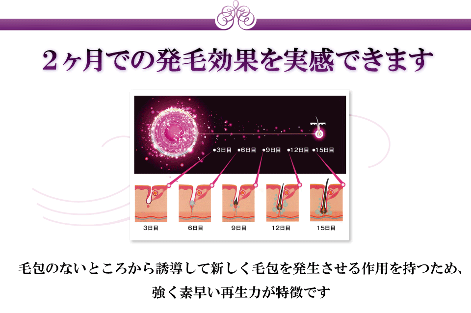 2ヶ月での発毛効果を実感できます