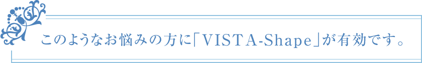 このようなお悩みの方に「VISTA-Shape」が有効です。