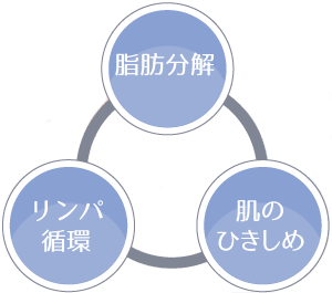 脂肪分解　リンパ循環　肌のひきしめ